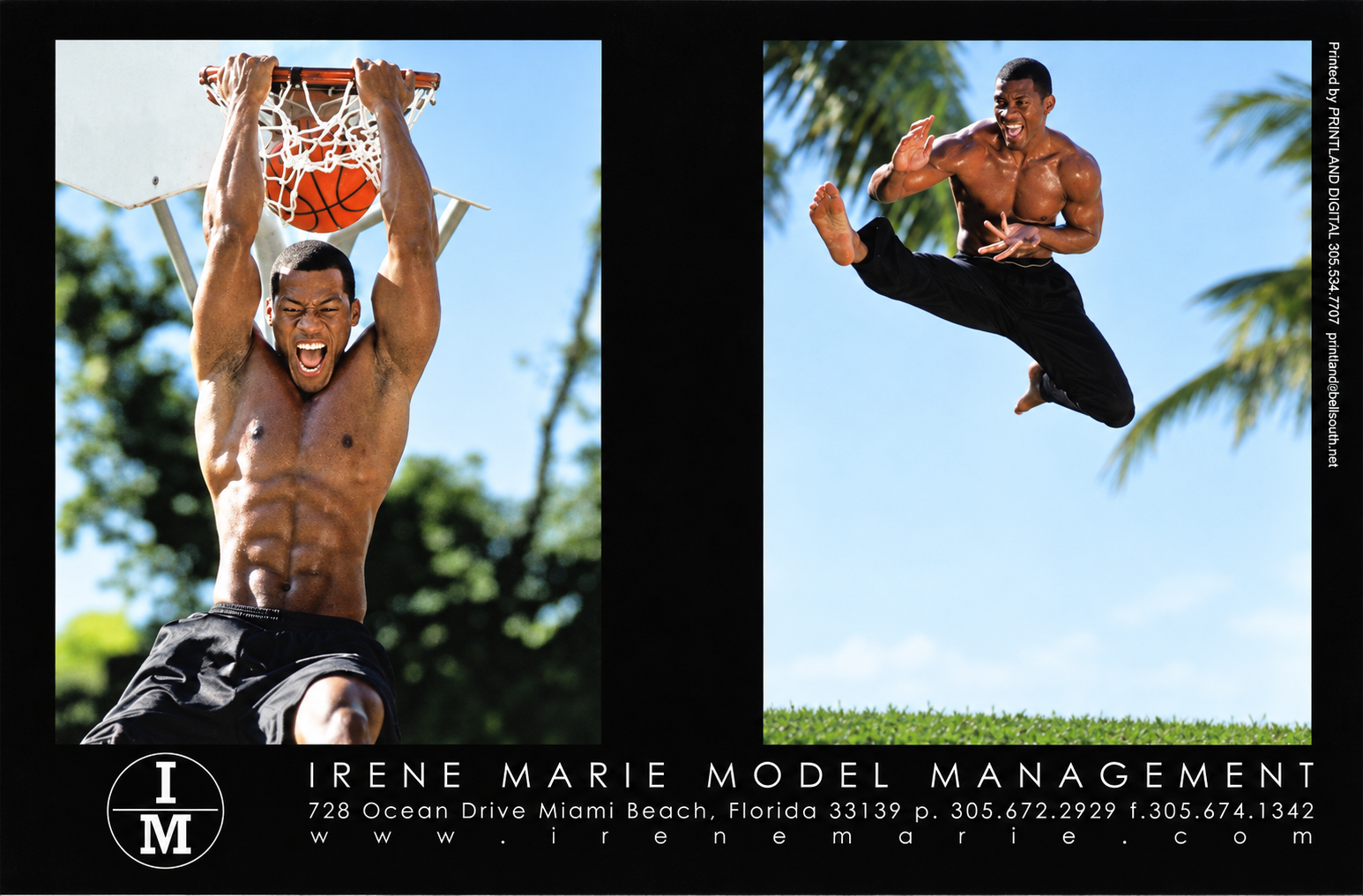 Archive action photographs of basketball and martial arts training